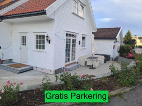 Highly recommended Apartment Trymsvei